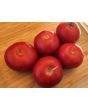 Tomato 'Bola Macizo' Seeds (Certified Organic)