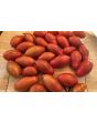 Tomato 'Prairie Fire' Seeds (Certified Organic)