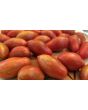 Tomato 'Prairie Fire' Seeds (Certified Organic)