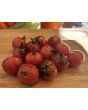 Tomato 'Dancing with Smurfs' Seeds (Certified Organic)