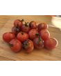 Tomato 'Dancing with Smurfs' Seeds (Certified Organic)