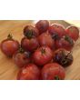 Tomato 'Dancing with Smurfs' Seeds (Certified Organic)