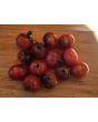 Tomato 'Dancing with Smurfs' Seeds (Certified Organic)
