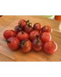 Tomato 'Dancing with Smurfs' Seeds (Certified Organic)