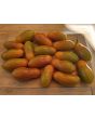 Tomato 'Sun Dipper F2' Seeds (Certified Organic)