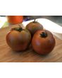 Dwarf Tomato 'Bundaberg Rumball' Seeds (Certified Organic)