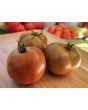Dwarf Tomato 'Bundaberg Rumball' Seeds (Certified Organic)