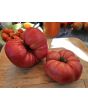 Dwarf Tomato 'Snakebite' Seeds (Certified Organic)