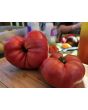 Dwarf Tomato 'Snakebite' Seeds (Certified Organic)
