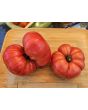 Dwarf Tomato 'Snakebite' Seeds (Certified Organic)