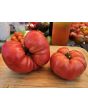 Dwarf Tomato 'Snakebite' Seeds (Certified Organic)
