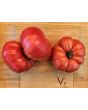 Dwarf Tomato 'Snakebite' Seeds (Certified Organic)