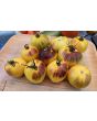 Tomato 'Ussuri Tiger' Seeds (Certified Organic)