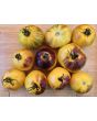 Tomato 'Ussuri Tiger' Seeds (Certified Organic)