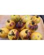 Tomato 'Ussuri Tiger' Seeds (Certified Organic)