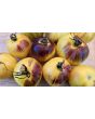 Tomato 'Ussuri Tiger' Seeds (Certified Organic)