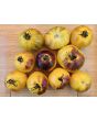Tomato 'Ussuri Tiger' Seeds (Certified Organic)
