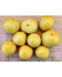 Tomato 'Ussuri Tiger' Seeds (Certified Organic)