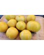 Tomato 'Ussuri Tiger' Seeds (Certified Organic)