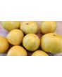 Tomato 'Ussuri Tiger' Seeds (Certified Organic)
