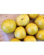Tomato 'Ussuri Tiger' Seeds (Certified Organic)