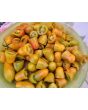 Tomato 'Sun Dipper F2' Seeds (Certified Organic)