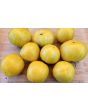 Tomato 'Ussuri Tiger' Seeds (Certified Organic)
