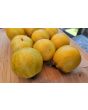 Tomato 'Ussuri Tiger' Seeds (Certified Organic)