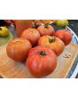 Tomato 'Big Beef' Seeds (Certified Organic)