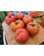 Tomato 'Big Beef' Seeds (Certified Organic)
