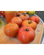 Tomato 'Big Beef' Seeds (Certified Organic)