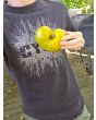 Tomato 'Plan 9 From Outer Space' Seeds (Certified Organic)