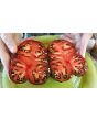 Tomato 'Marsha's Starfighter' Seeds (Certified Organic)
