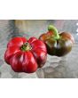 Sweet Pepper 'Liebesapfel' aka 'Love Apple' Seeds (Certified Organic)
