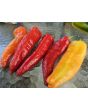 Banana Pepper 'Sweet Banana' Seeds (Certified Organic)