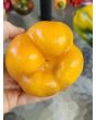 Sweet Pepper ‘Yellow Bell’ Seeds (Certified Organic)