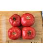 Tomato 'Early Detroit' Seeds (Certified Organic)