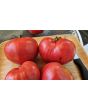 Tomato 'Early Detroit' Seeds (Certified Organic)