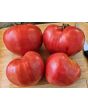 Tomato 'Early Detroit' Seeds (Certified Organic)