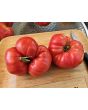 Dwarf Tomato 'Snakebite' Seeds (Certified Organic)