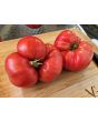 Dwarf Tomato 'Snakebite' Seeds (Certified Organic)