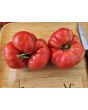 Dwarf Tomato 'Snakebite' Seeds (Certified Organic)