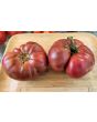 Dwarf Tomato 'Black Angus' Seeds (Certified Organic)