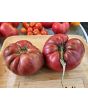 Dwarf Tomato 'Black Angus' Seeds (Certified Organic)