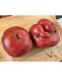 Dwarf Tomato 'Black Angus' Seeds (Certified Organic)