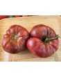 Dwarf Tomato 'Black Angus' Seeds (Certified Organic)