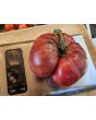 Dwarf Tomato 'Black Angus' Seeds (Certified Organic)