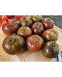 Tomato 'Crazy Horse' Seeds (Certified Organic)