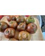 Tomato 'Crazy Horse' Seeds (Certified Organic)