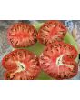 Dwarf Tomato 'Black Angus' Seeds (Certified Organic)